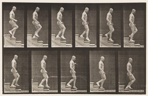 Placa 126. Escadas descendentes de Eadweard Muybridge