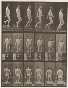 Placa 127. Escadas Descendentes, 1872-1885 de Eadweard Muybridge