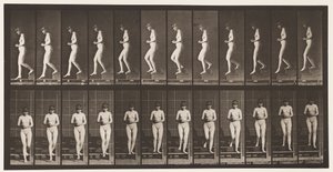 Placa 128. Escadas Descendentes, Mãos Entrelaçadas, 1872-1885 de Eadweard Muybridge