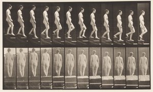 Placa 129. Escadas descendentes, mãos postas de Eadweard Muybridge