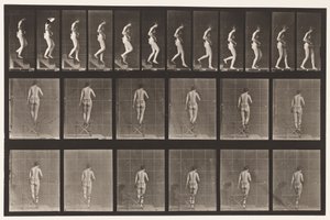 Placa 130. Escadas Descendentes, Mãos Entrelaçadas, 1872-1885 de Eadweard Muybridge