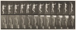 Placa 132. Escadas descendentes, virando para olhar ao redor e acenando com a mão de Eadweard Muybridge