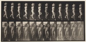 Placa 136. Escadas Descendente Demijohn Completo no Ombro, 1872-1885 de Eadweard Muybridge