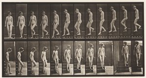 Placa 137. Escadas descendentes, virando-se de Eadweard Muybridge