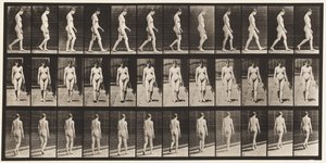 Placa 13. Caminhada, 1872-1885 de Eadweard Muybridge