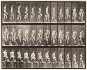 Prancha 145. Escadas Descendentes; Virando a água do balde na mão direita, 1872-1885 de Eadweard Muybridge