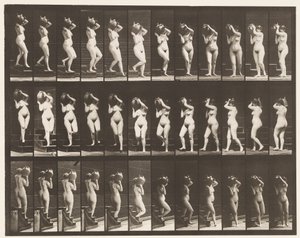 Prancha 147. Escadas Descendentes; Tornando Jarra de Água no Ombro Direito, 1872-1885 de Eadweard Muybridge