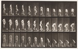 Prancha 149. Escadas Descendentes; Inclinando-se para levantar um jarro, 1872-1885 de Eadweard Muybridge