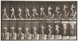 Placa 151. Degraus Descendo, Virando, Rock in Hands, 1872-1885 de Eadweard Muybridge