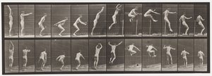 Placa 161. Salto; Salto em Altura Permanente de Eadweard Muybridge