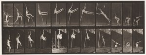 Placa 164. Salto; Salto com vara, 1872-1885 de Eadweard Muybridge