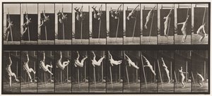 Placa 165. Salto; Abóbada de Polo de Eadweard Muybridge