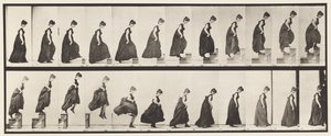 Placa 173.Ascending Steps and Jumping Off, 1885 de Eadweard Muybridge