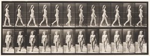 Placa 17. Caminhada, 1872-1885 de Eadweard Muybridge