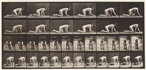Placa 182. Rastejando sobre as mãos e os joelhos de Eadweard Muybridge