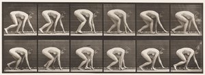 Placa 183. Andar de Mãos e Pés de Eadweard Muybridge