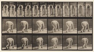 Ilustração 184. Andando com as mãos e os pés de Eadweard Muybridge