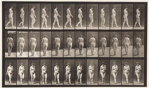 Placa 18. Caminhando, Mão Esquerda Através do Abdômen, 1872-1885 de Eadweard Muybridge