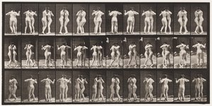 Placa 196. Valsa dançando, dois modelos de Eadweard Muybridge