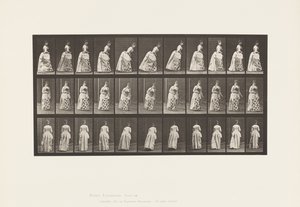 Placa 198. Corte, 1885 de Eadweard Muybridge