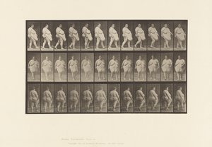 Prato 19. Andar a pé, Começar a dar a volta de Eadweard Muybridge