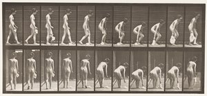 Placa 202. Deixando cair e levantando um lenço de pescoço de Eadweard Muybridge