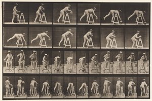Placa 203. Curvando-se sobre um cavalete com um jarro de água de Eadweard Muybridge