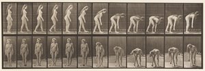 Placa 204. Parando para Pegar a Bola de Eadweard Muybridge