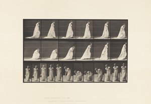 Placa 209. Tooping e levantando uma mão-lenço, 1885 de Eadweard Muybridge