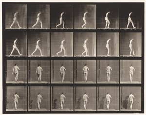 Placa 20. Caminhando, cotovelo direito dobrado de Eadweard Muybridge