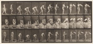 Placa 213. Cesto de levantamento e esvaziamento de Eadweard Muybridge