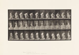 Placa 216. Dobrar para encher o recipiente de água; Colocar o recipiente na cabeça de Eadweard Muybridge
