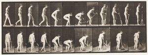 Placa 219. Inclinando-se e levantando vassoura e varrendo de Eadweard Muybridge