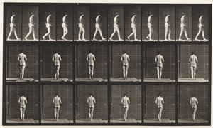 Prato 21. Andando, Ambos os Cotovelos Dobrados de Eadweard Muybridge