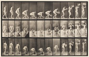 Placa 221. Inclinando-se e levantando uma cesta de 12 libras até a cabeça de Eadweard Muybridge