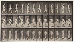 Placa 22. Andando, Com Botas De Salto Alto Em, 1872-1885 de Eadweard Muybridge