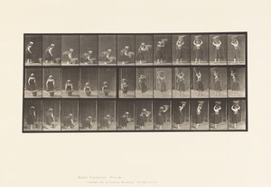 Placa 230. Levantamento de 30 libras Cesto do chão à cabeça, girando, 1885 de Eadweard Muybridge