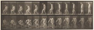 Placa 236. Colocando Diair e Sentar-se, 1885 de Eadweard Muybridge