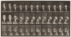 Placa 238. Sentado na cadeira, cruzando as pernas, bebendo da xícara de chá de Eadweard Muybridge