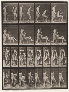 Prato 239. Dois Modelos;Um de Pé,o Outro Sentado,Cruzando Pernas de Eadweard Muybridge