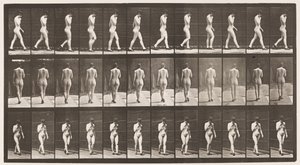 Ilustração 23. Caminhando, mão direita no queixo, sapatos de salto alto calçados de Eadweard Muybridge