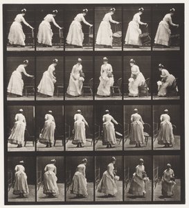 Placa 243. Colocar cadeira, sentar e namoriscar um ventilador de Eadweard Muybridge