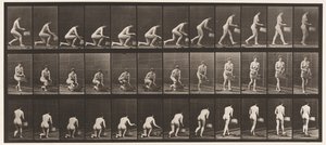 Placa 251. Ajoelhando-se no Joelho Esquerdo, Cesta na Mão Esquerda e Nascente, 1872-1885 de Eadweard Muybridge