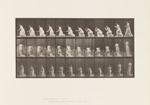 Placa 253. Ajoelhando-se cotovelos na cadeira, as mãos entrelaçadas, 1885 de Eadweard Muybridge