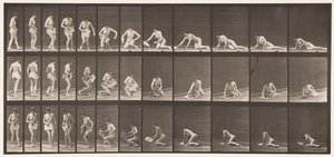 Ilustração 256. Deitado no chão e lendo, 1872-1885 de Eadweard Muybridge