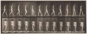 Placa 25. Caminhando, com sapatos de salto alto de Eadweard Muybridge