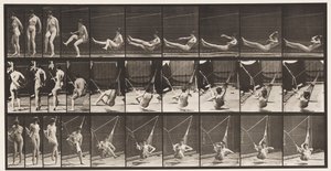Placa 261. Entrando na Rede, 1872-1885 de Eadweard Muybridge