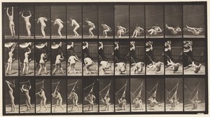 Prato 262. Saindo de Hammock de Eadweard Muybridge