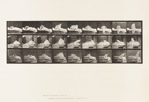 Placa 265. Saída da cama e preparação para ajoelhar de Eadweard Muybridge