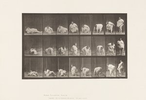 Placa 268.Arising from the Ground, 1885 de Eadweard Muybridge